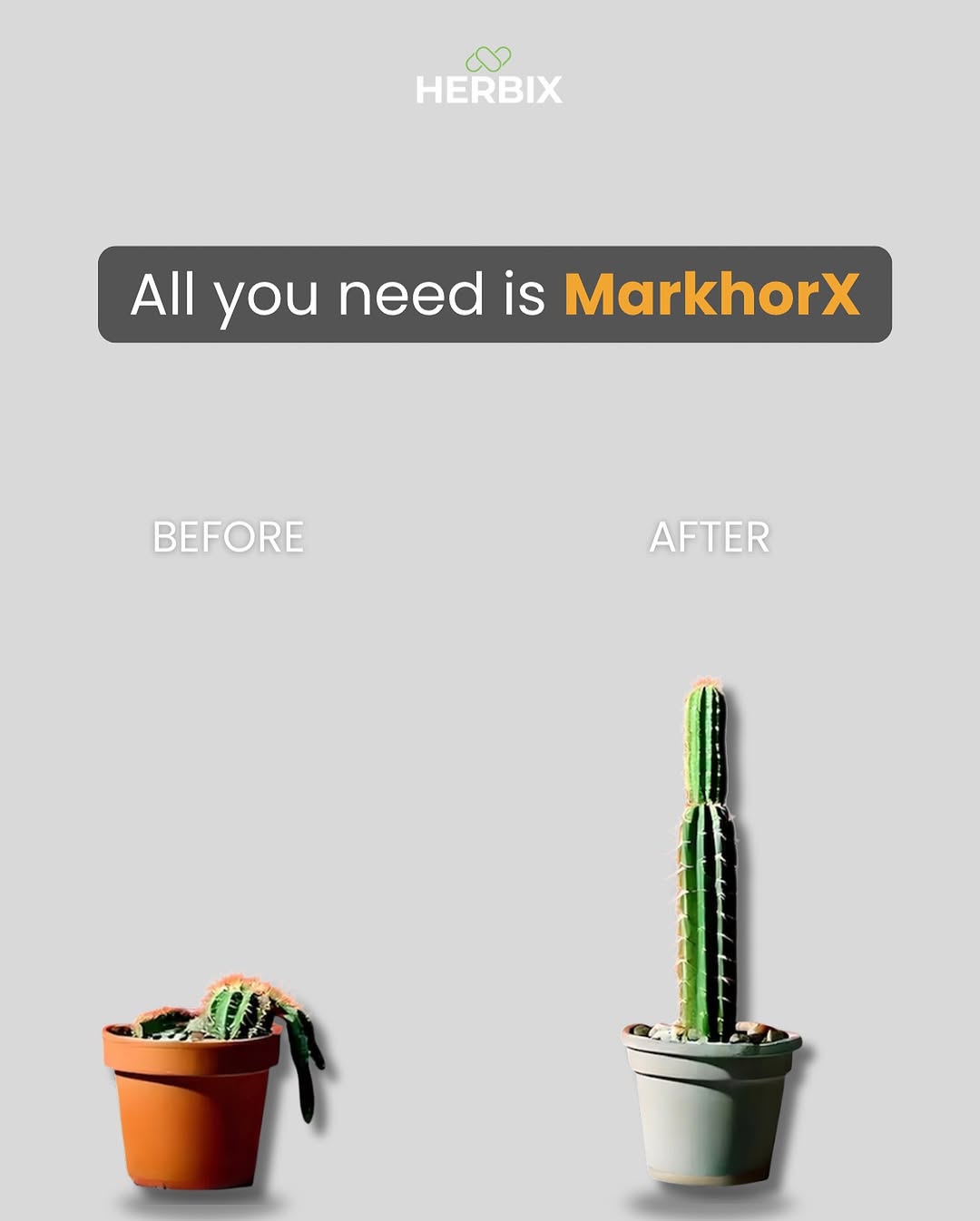 Markhor X (Men's vitality)