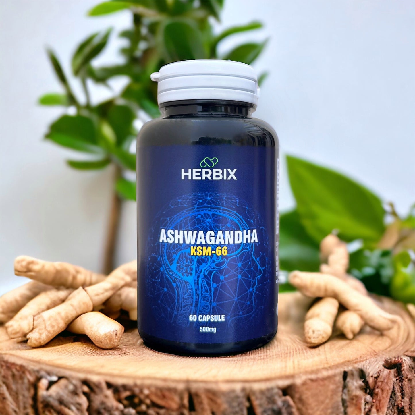 Ashwagandha & Ginseng (For men)