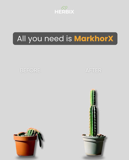 Markhor X (Men's vitality)