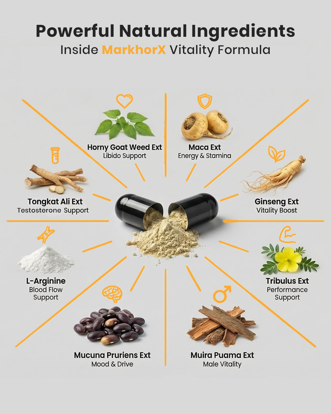 Markhor X (Men's vitality)